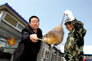 麝鼠叼鱼被擒