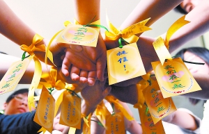 鸽子树的美丽传说