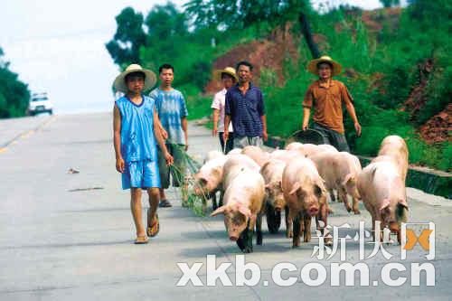 韶关水灾20万人转移