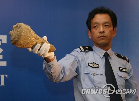 陕西警方重建拍照现场确定周正龙虎照系造假