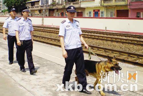 铁警带防蛇药全天巡逻保奥运