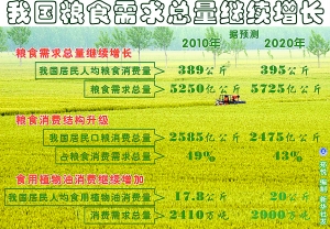 粮食烘干成套设备生产_中国粮食生产与人口