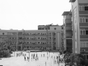 石桥铺小学少年强则国强