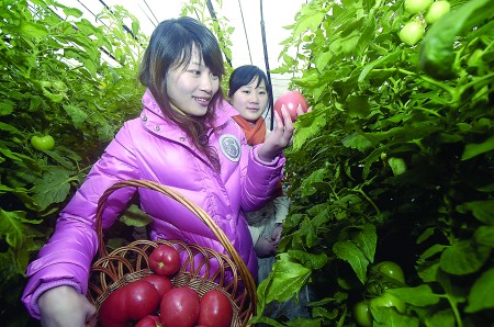 kaiyun官方网站农业农村部发布全国乡村产业高质量发展十大典型