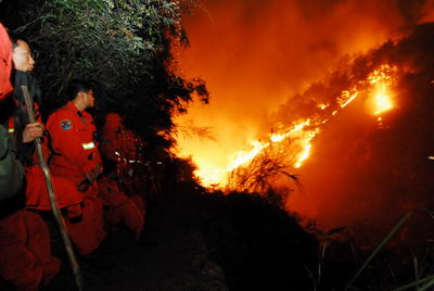 福建沙县森林火灾可能由农民烧树肥地引起