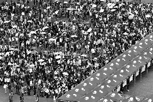 �о���ӦƸũ���ʦ��ռר������ҵ����(ͼ)