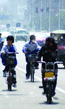 柳絮飞扬似雪飘