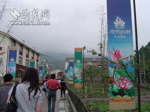 收入证明_2017年武汉市蔡镇收入(3)