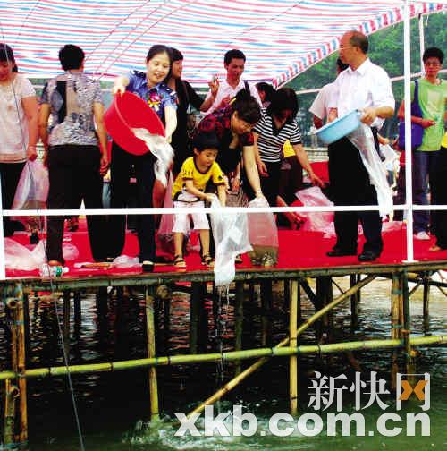 花都放生300万尾鱼苗