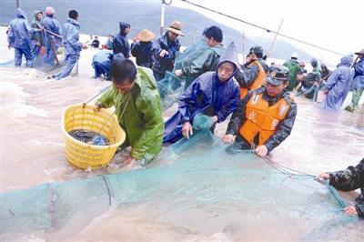 台风莫拉克登陆福建 最大风力12级