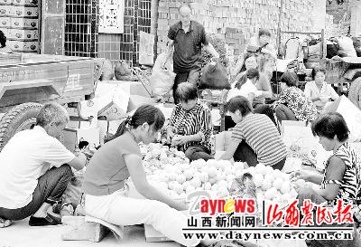 芮城县南卫乡扶持成立21家专业合作社(图)