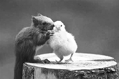 小声点别让别人听见