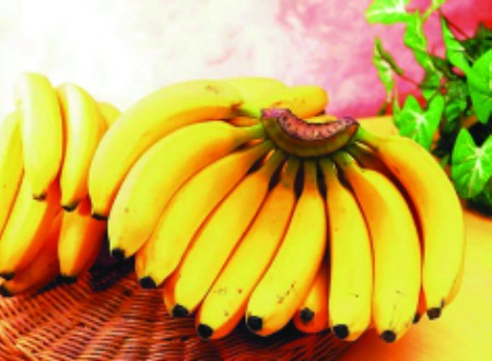 种植面积增加货源充沛 南方香蕉比去年便宜一