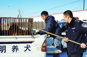 昨日,呼市公安局治安支队治安大队的民警对市内违规