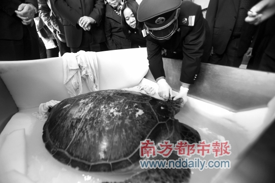 惠东县人口有多少人口_惠东县有什么大型商场(2)