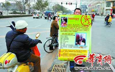 从上海打飞的回西安寻找丢失的爱犬(图)