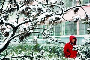 内蒙古局地暴雪 呼市赤峰民航机场关闭