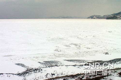 辽宁旅顺口海域提前封海现奇特景观(组图)