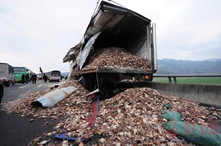 海鲜冷藏车左侧挡板整块被挂车"刮飞,车上的螃蟹撒了一地