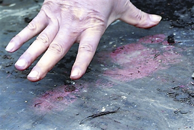 古墓群披上高科技铠甲