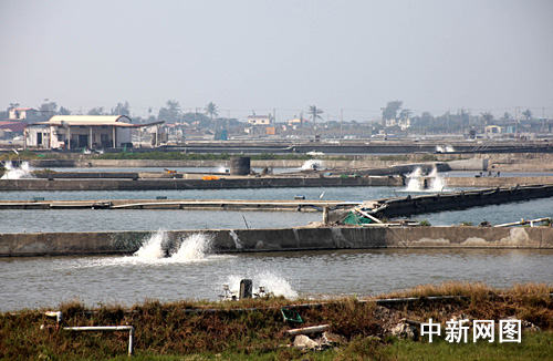 图:台湾屏东县朝清水产养殖集团渔场掠影