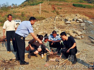 山西游客2万元买版纳巨鳖放生