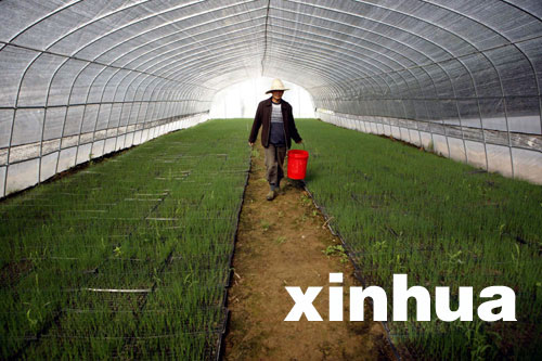 武汉发展农业设施将建季节性生产基地(图)