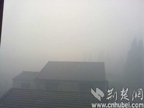 农民烧秸秆导致荆州长江大学附近烟雾笼罩引恐