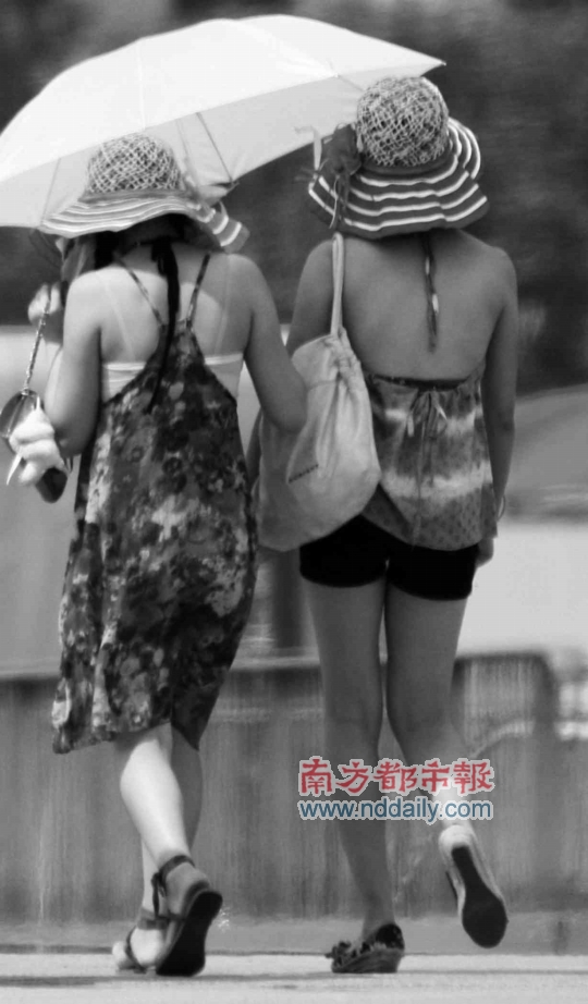 温度一路狂飙高温保险“有点冷”