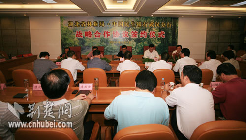 武汉民生银行增加授信80亿元促湖北林业发展