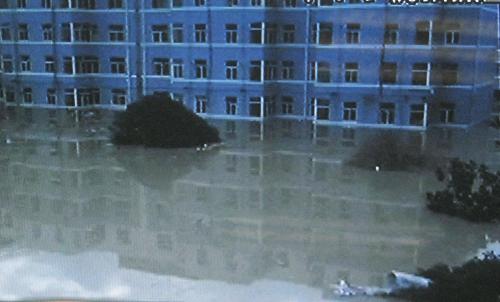 ����Ժ�йز���Ѹ���ж�Ӧ�Ը�������������ʯ��