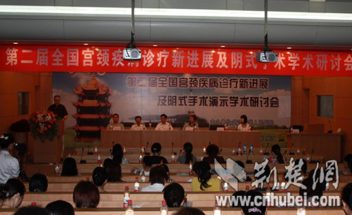 第二届中国宫颈疾病诊疗及学术研讨会武汉举行