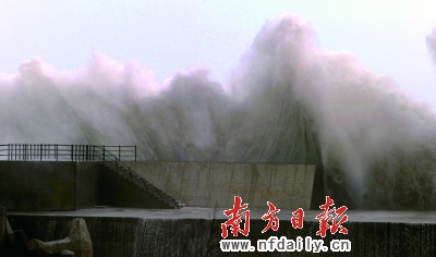 ̨�緲�ǱȽ���½�ᴩ�㶫��β��8��������Ա