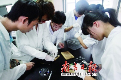高校科研:大学生不再当看客