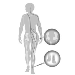 左腿营养过剩 比右腿长5厘米