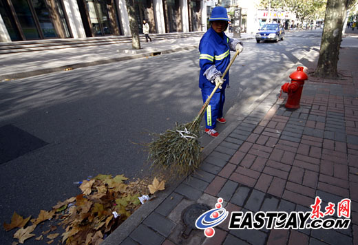 街头落叶纷飞忙坏环卫工人 沪绿化部门试点回