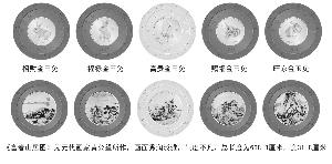 首套“生肖国宝贺岁大全套”震撼发行