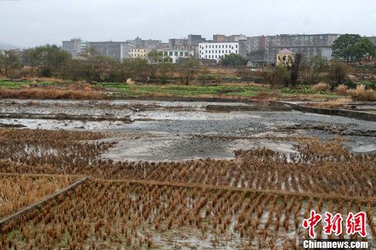 喷涌渐息后，留下满地的砾石。会昌县委宣传部供图