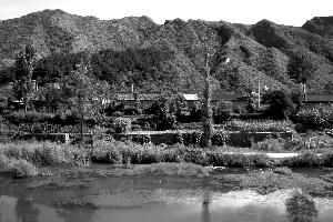 8月10日，怀柔琉璃庙双文铺村，这是一个坐落在山脚下河道边的小村落，容易受到泥石流侵害。目前该村已基本完成整体搬迁。本报资料图片 吴江 摄