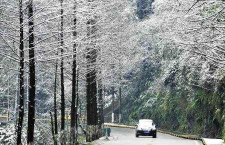 新一轮雨雪冰冻天气来袭 宜宾泸州凉山或现冻雨