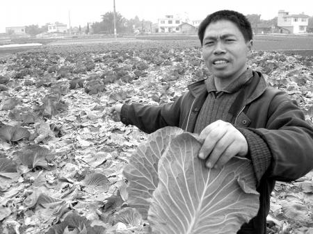 元宵晚上去偷青