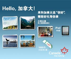 收入证明_赴日旅游收入证明(3)