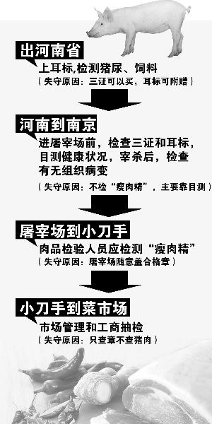 从河南养猪场到南京菜市场四道关为何卡不住“瘦肉精”？