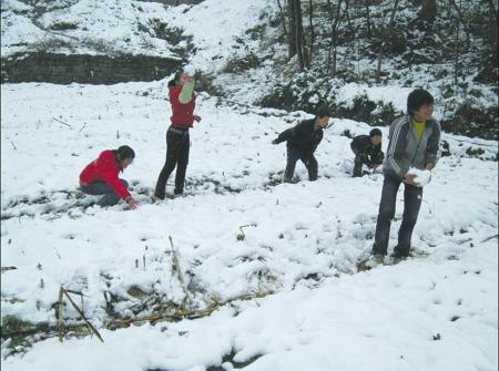 万源久旱逢春雪风大水少“渴”难解