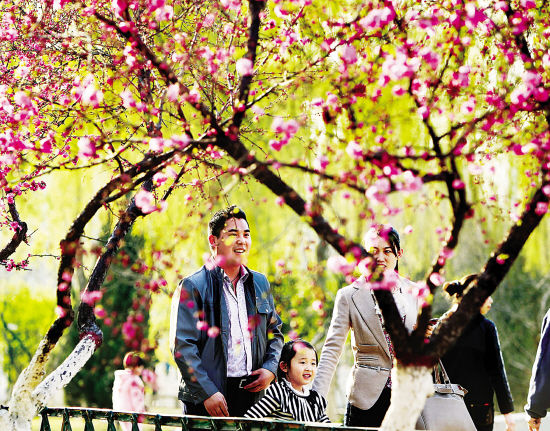 清明小长假,晴好的天气让省城人更加轻松惬意地