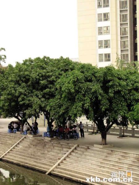 �Ե�ǧ�׿շ���ƽ�ۡ�����������ʩ�в�����