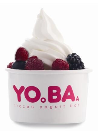 YOBA优芭酸奶冰淇淋跃居成为行业知名品牌