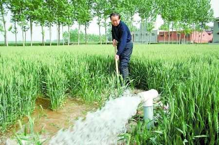 河南黄河河务局要求保证引黄抗旱用水