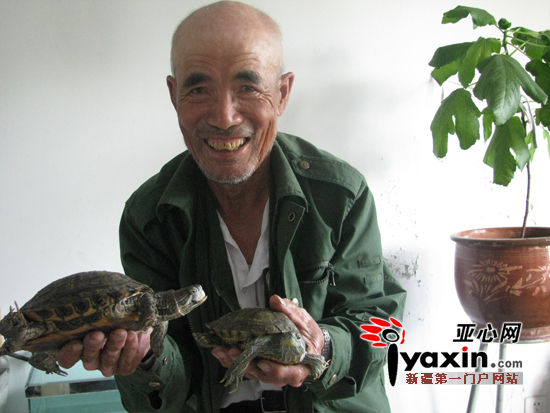 新疆石河子市八旬翁放生两只家养15年乌龟心