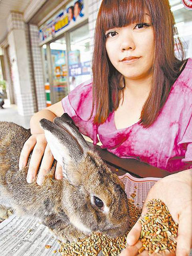 台湾网友评价那年那兔